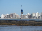 Cities Reference Apartment picture #100Guarapari