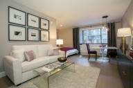 Cities Reference Apartment picture #100cNewYork